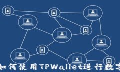 苹果电脑如何使用TPWallet进行数字资产管理