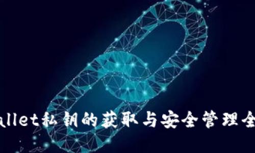 TPWallet私钥的获取与安全管理全攻略