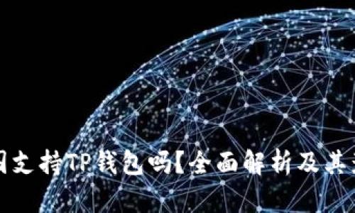 中国支持TP钱包吗？全面解析及其影响